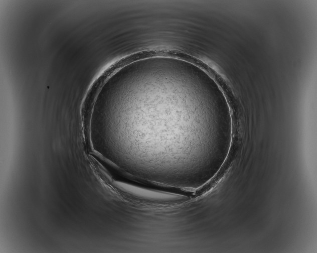 X0000087421022200705041303