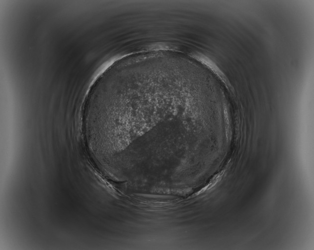 X0000087421023200705041303