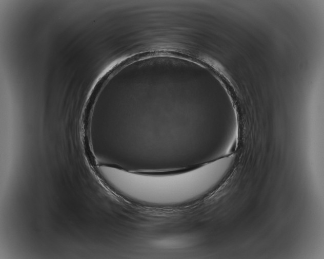 X0000087421024200705041303