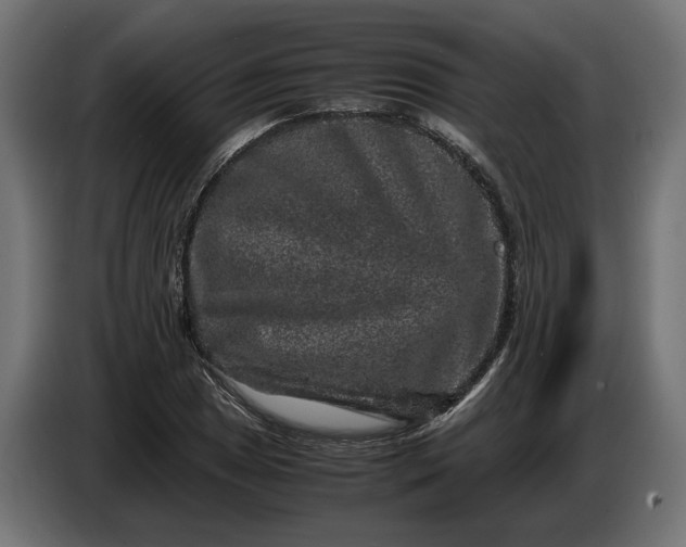 X0000087421025200705041303