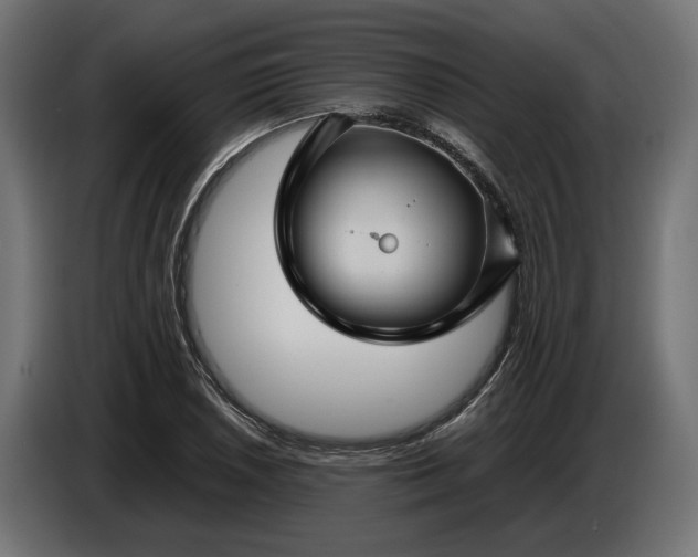 X0000087421026200705041303