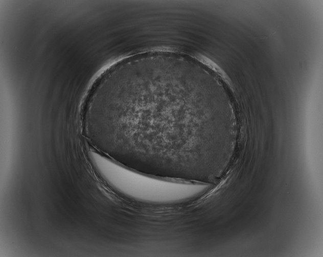 X0000087421027200705041303