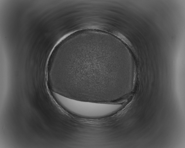 X0000087421028200705041303