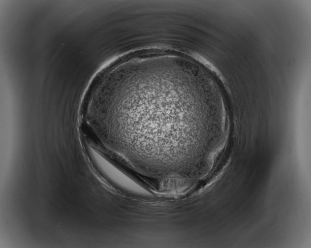 X0000087421029200705041303