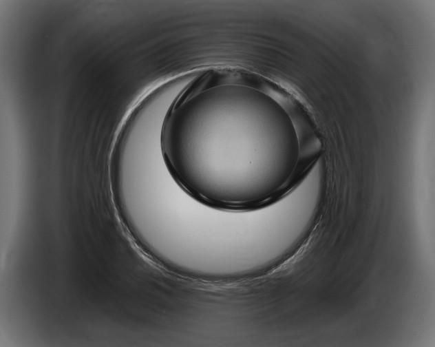 X0000087421030200705041303