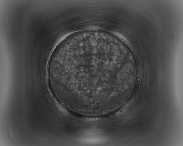 X0000087421031200705041303