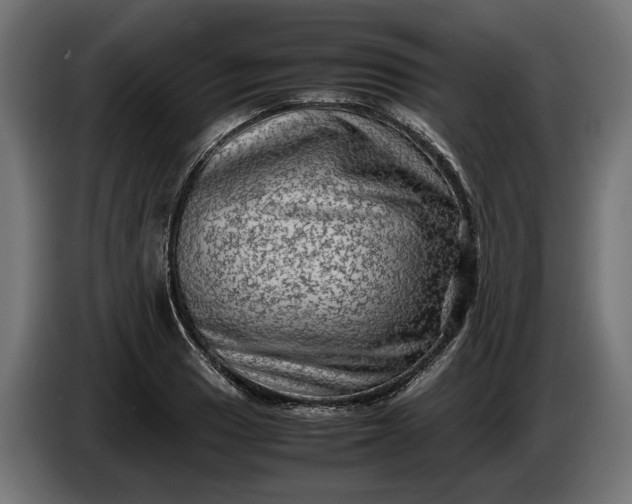 X0000087421033200705041304