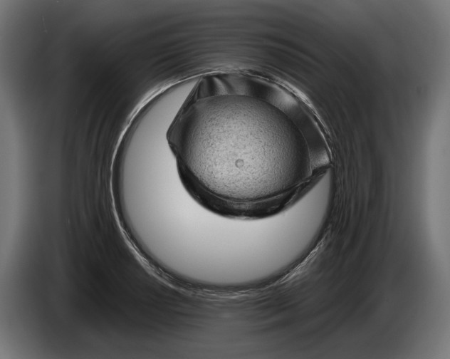 X0000087421034200705041304