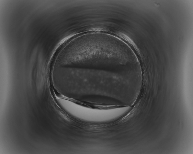 X0000087421035200705041304