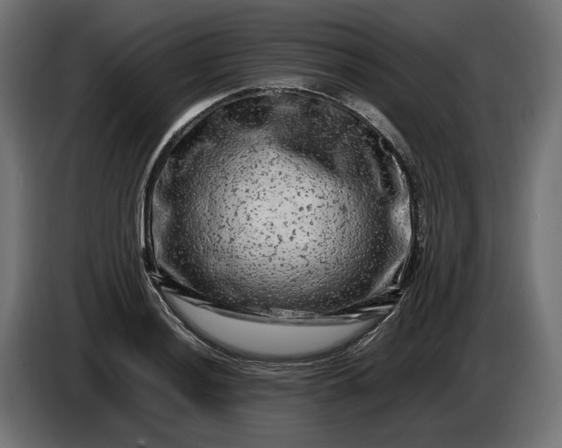 X0000087421036200705041304