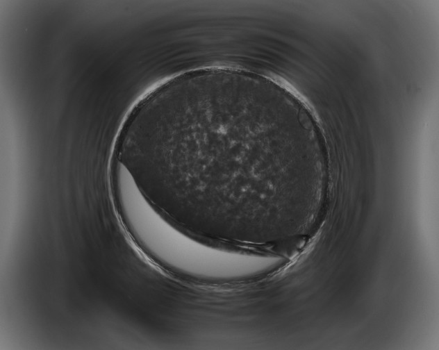 X0000087421037200705041304