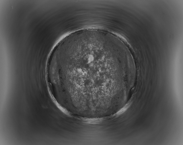 X0000087421038200705041304