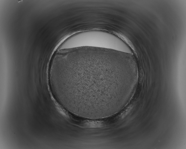 X0000087421039200705041304
