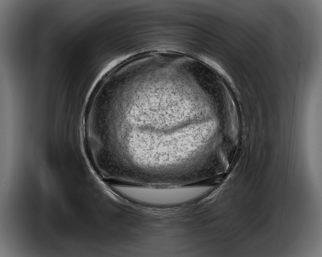X0000087421040200705041304