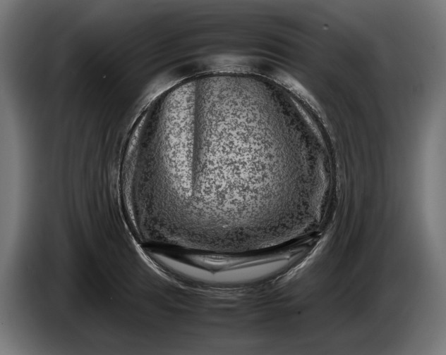 X0000087421041200705041304