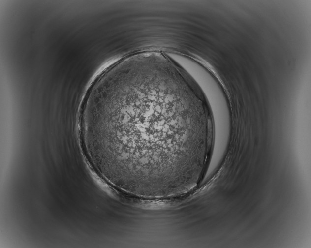 X0000087421042200705041304