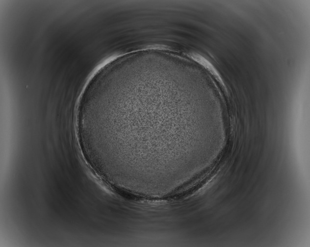 X0000087421043200705041304