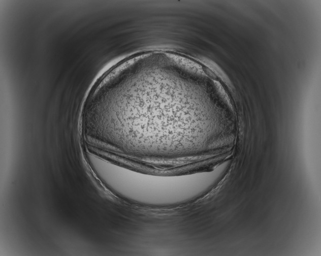 X0000087421044200705041304
