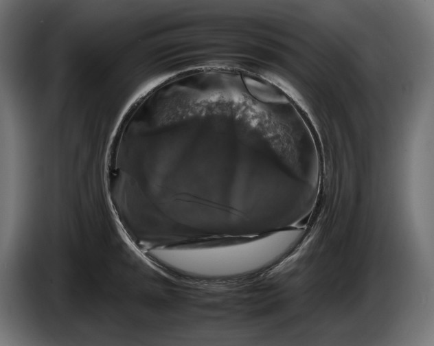 X0000087421045200705041304