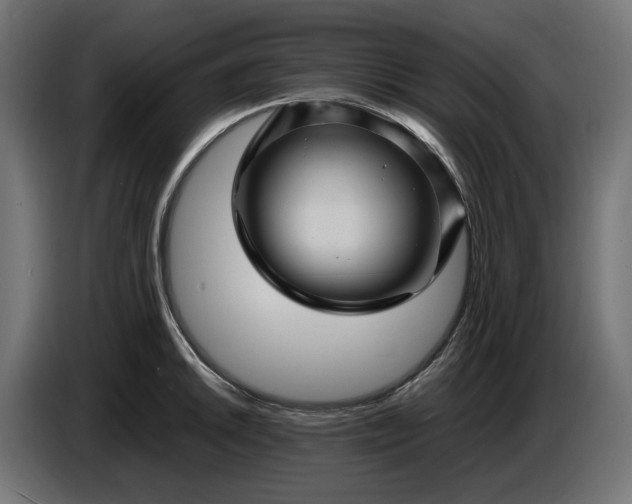 X0000087421046200705041304