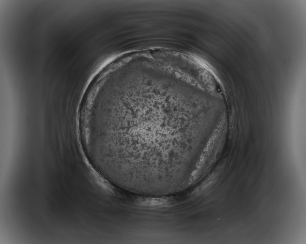 X0000087421047200705041304