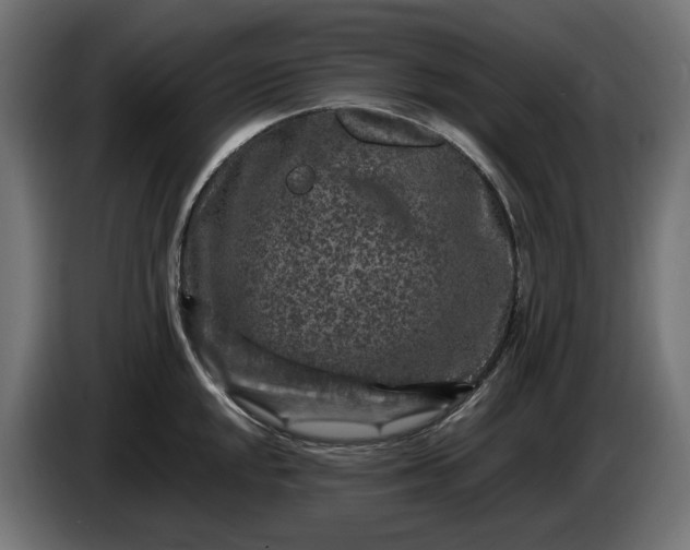 X0000087421048200705041304