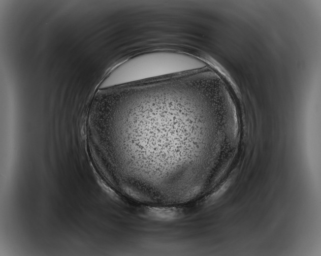 X0000087421049200705041304