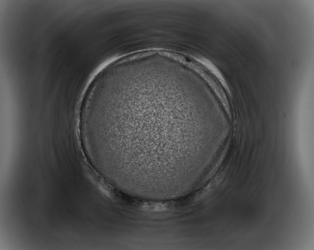 X0000087421051200705041304