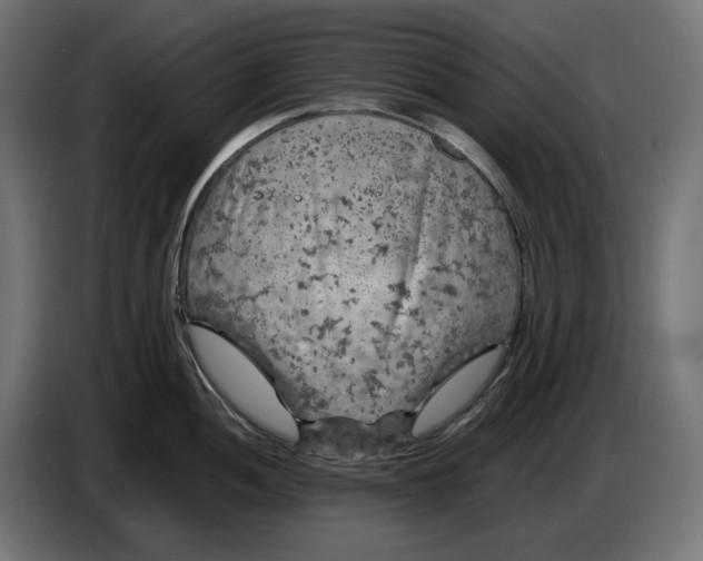 X0000087421052200705041304