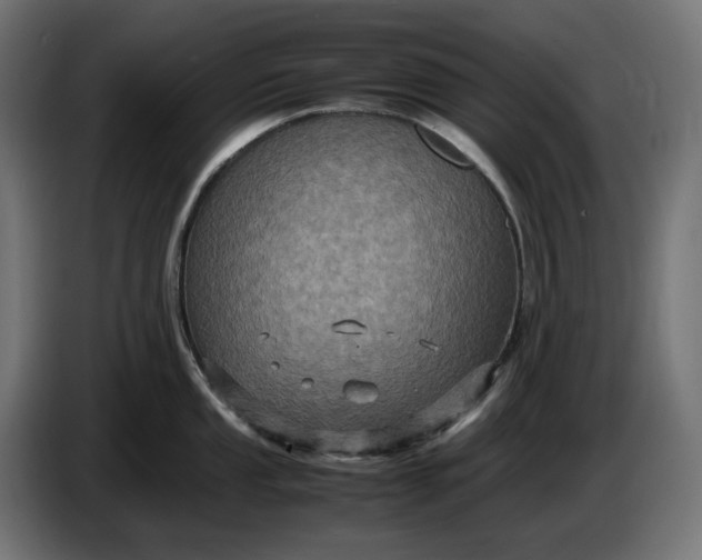 X0000087421053200705041304