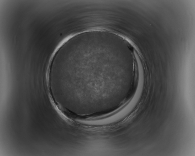 X0000087421054200705041304