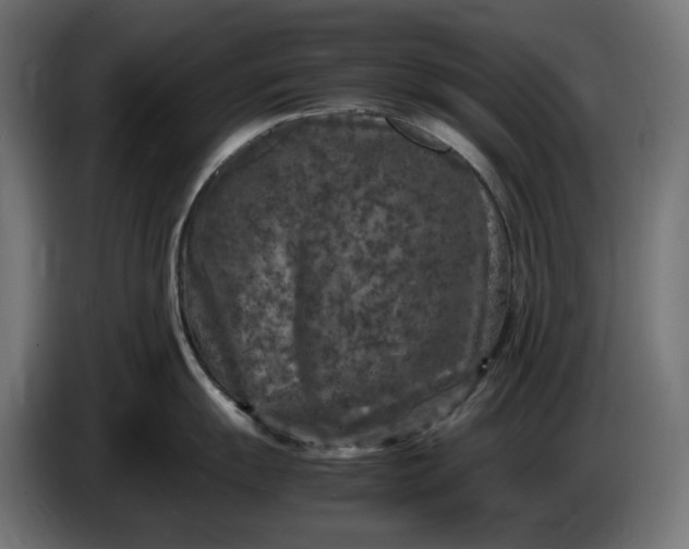 X0000087421055200705041304