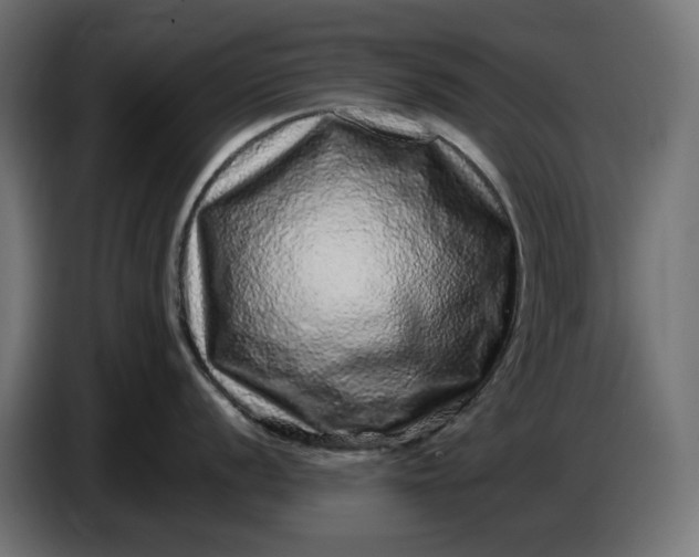 X0000087421056200705041304