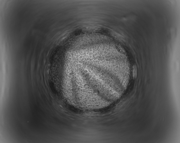 X0000087421059200705041303