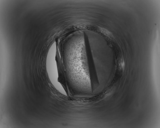 X0000087421060200705041303