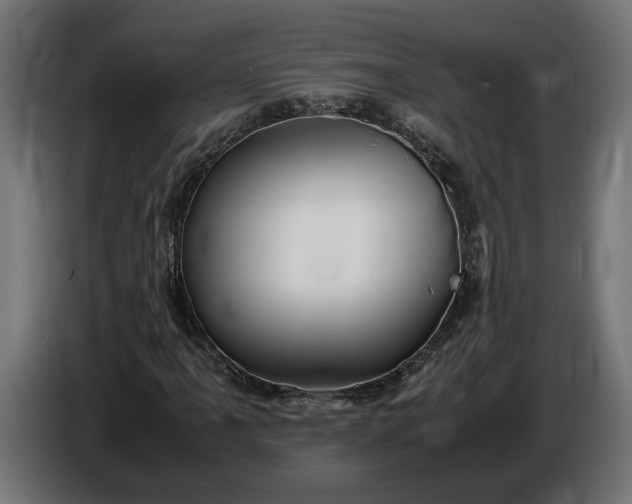 X0000087421061200705041303