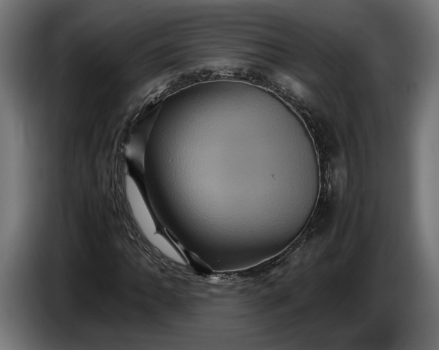 X0000087421062200705041303