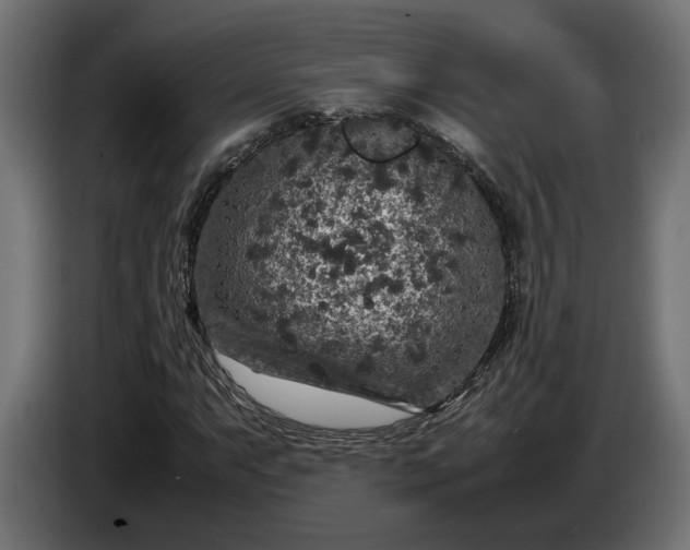 X0000087421063200705041303