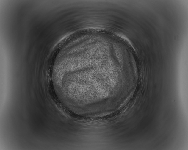 X0000087421064200705041303