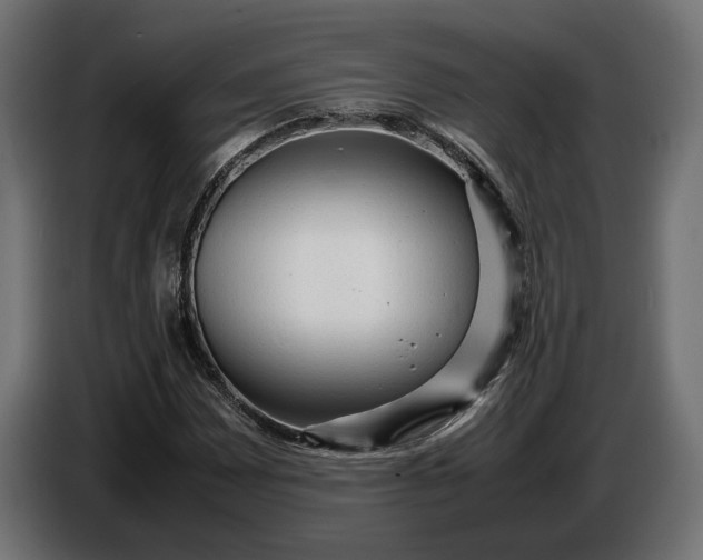 X0000087421065200705041303