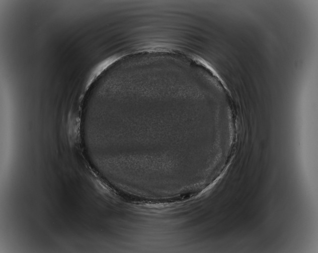 X0000087421066200705041303