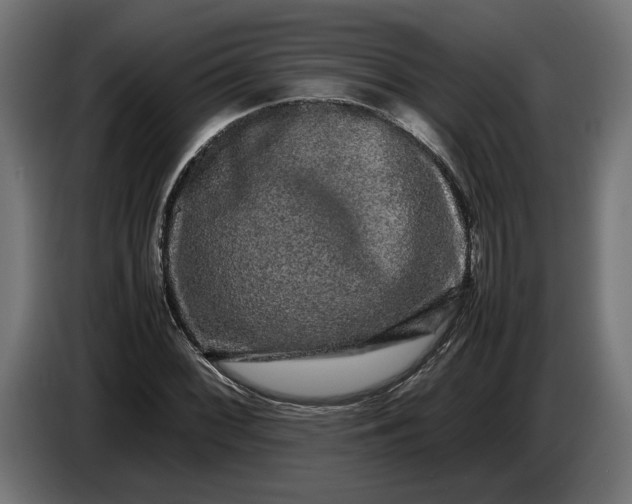 X0000087421068200705041303