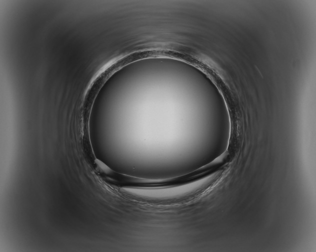 X0000087421069200705041303