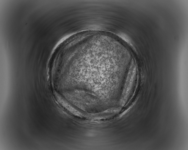 X0000087421070200705041303