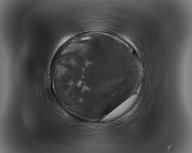 X0000087421071200705041303