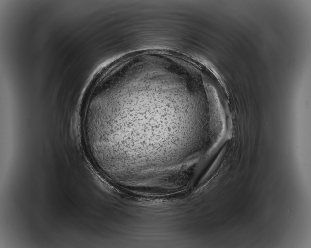 X0000087421072200705041303