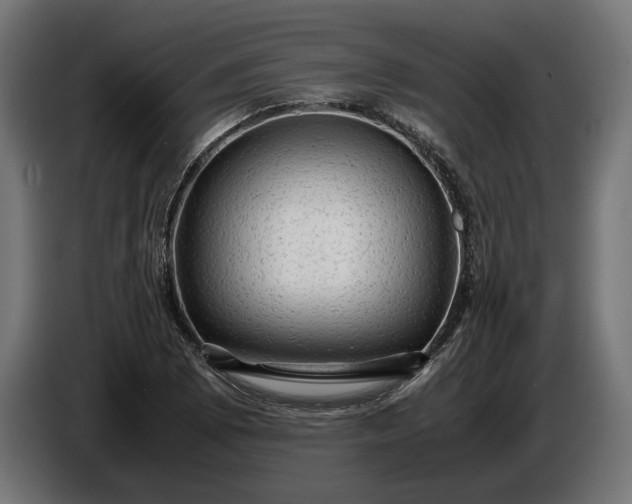 X0000087421073200705041303