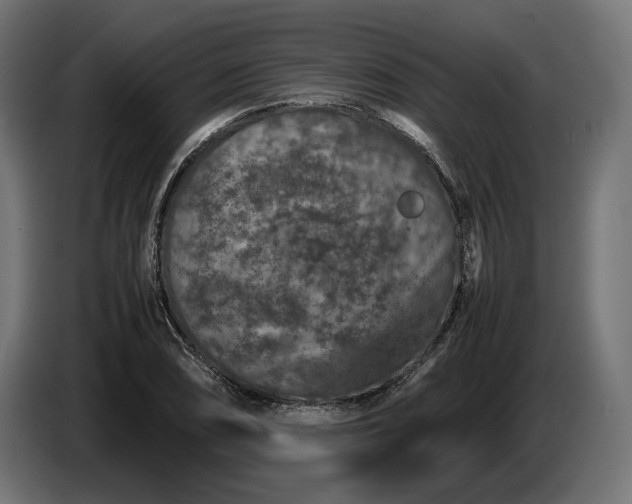 X0000087421074200705041303