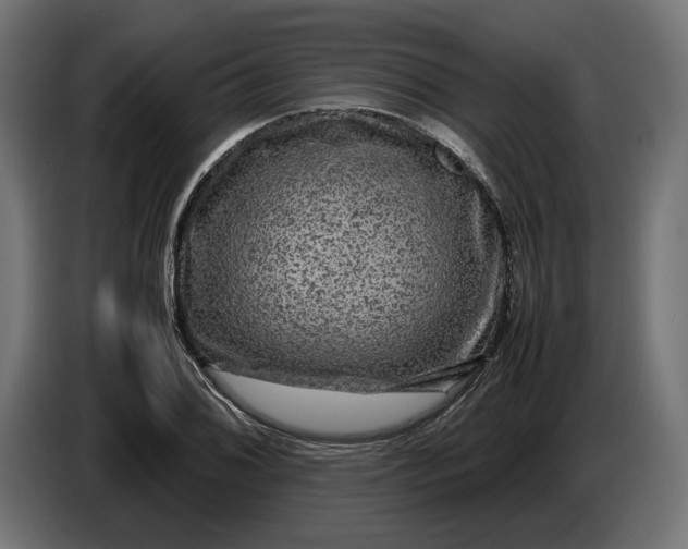 X0000087421076200705041303