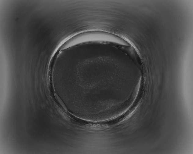 X0000087421077200705041303